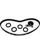 BWS Timing Belt Kit