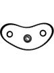 BWS Timing Belt Kit