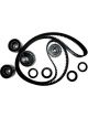 BWS Timing Belt Kit