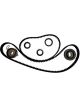 BWS Timing Belt Kit