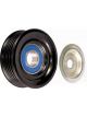 BWS Tensioner Bearing