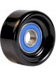 BWS Tensioner Bearing