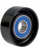 BWS Idler Bearing