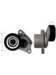 BWS Drive Belt Tensioner Assembly