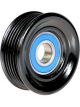 BWS Tensioner Bearing