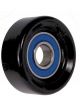 BWS Tensioner Bearing