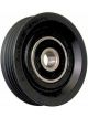 BWS Tensioner Bearing