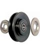 BWS Tensioner Bearing