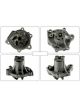 Motorgear Water Pump