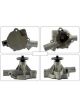 Motorgear Water Pump