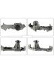 Motorgear Water Pump