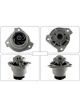 Motorgear Water Pump