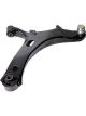 Roadsafe Control Arm Right Lower