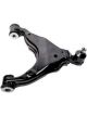 Roadsafe Control Arm Right Lower