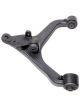 Roadsafe Control Arm LH Lower