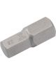 Draper Tools 12mmx30mm Hexagonal 10mm Insert Bit For Mechanic's Bit Sets
