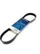 Dayco Poly-V Belt