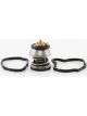 Tridon Thermostat