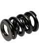 Pac Racing Springs 1200 Dual Valve Springs 1.550