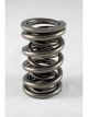 Pac Racing Springs 1200 Dual Valve Springs 1.550