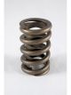 Pac Racing Springs 1900 Dual Valve Springs 1.304