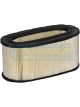 Transgold Air Filter