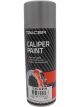 Pacer Caliper Paint Silver