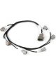 Haltech Elite 2000/2500 Ignition Harness Fits Ford Barra 4.0 FG