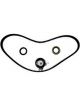 BWS Timing Belt Kit