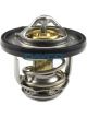 Dayco Thermostat
