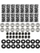 Brian Tooley Racing Platinum Dual Spring LS Kit Steel Retainer