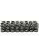 Brian Tooley Racing LS6 Beehive Springs .560 Lift 16