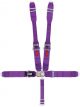 Crow Enterprizes 5-Way L&L 52in Lap Belt- Indiv Dog Bone Harness