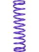 Draco Racing Coilover Spring 1.875in ID 10in Tall 170lb