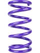 Draco Racing Spring Conventional Front 9.500in Length 5.0