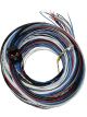 Fueltech Engine Control Harness A-Harness 20 ft FT450 / FT550 ECU