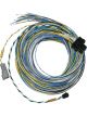 Fueltech Engine Control Harness B-Harness 20 ft FT550 ECU