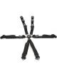 Impact Racing Harness Pro Series 6 Point Camlock 2in Pull Down