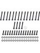 Optitorque Cylinder Head Bolt Kit Patriot 12 Point Head Black SBC Kit