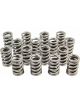Pac Racing 1.260 Single Valve Springs RPM Series Set of 16