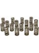 Pac Racing 1.355 Single Valve Springs RPM Series Set of 16