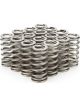 Pac Racing 1.083 Valve Springs Ovate Beehive Set of 16