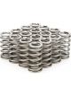 Pac Racing 1.083 Valve Springs Ovate Beehive Set of 16