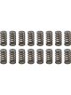 Pac Racing 1.025 Valve Springs Ovate Beehive Set of 16