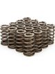 Pac Racing 1.210 Valve Springs Ovate Beehive Set of 16