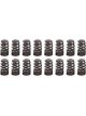 Pac Racing 1.282 Valve Springs Ovate Beehive Set of 16