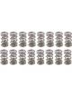 Pac Racing 1.300 Dual Valve Springs Drag Race Set of 16