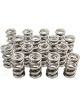 Pac Racing 1.300 Dual Valve Springs Set of 16