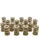 Pac Racing 1.645 Triple Valve Springs Set of 16