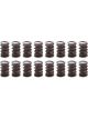 Pac Racing 1.538 Dual Valve Springs w/Damper Set of 16